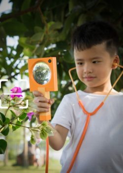 plant identifier for kids